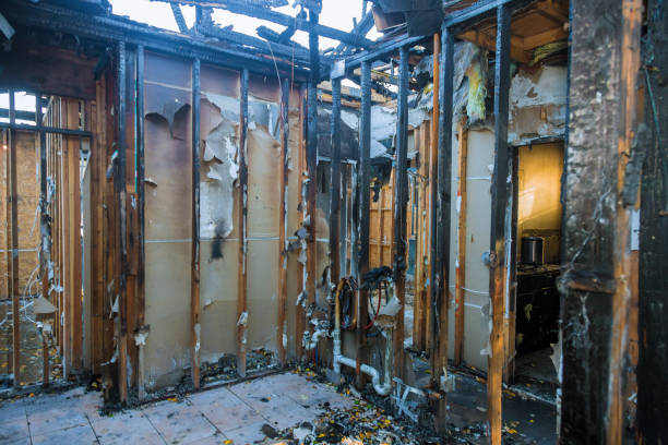 Professional Fire Damage Removal technician working in Sanibel, FL